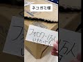 ネコガミ様に私欲を出すとこうなりますww【#Shorts】