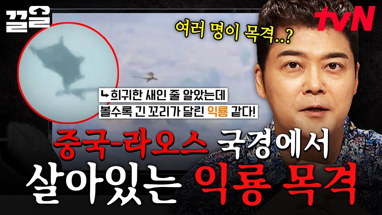 오래전 멸종한 익룡이 발견됐다?! 중국과 라오스 국경 지역에서 목격된 익룡 증언들ㄷㄷ | 프리한19