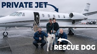 We Rescued a GREAT PYRENEES DOG on a PRIVATE JET