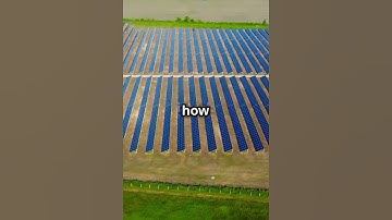 Power Plants: Nature