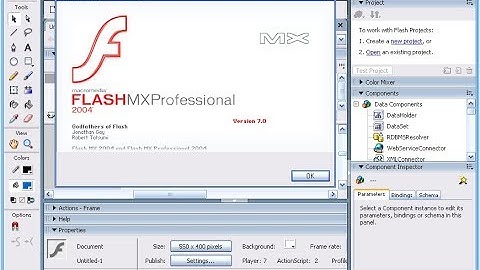 Macromedia flash MX 2004 Free download and use for lifetime