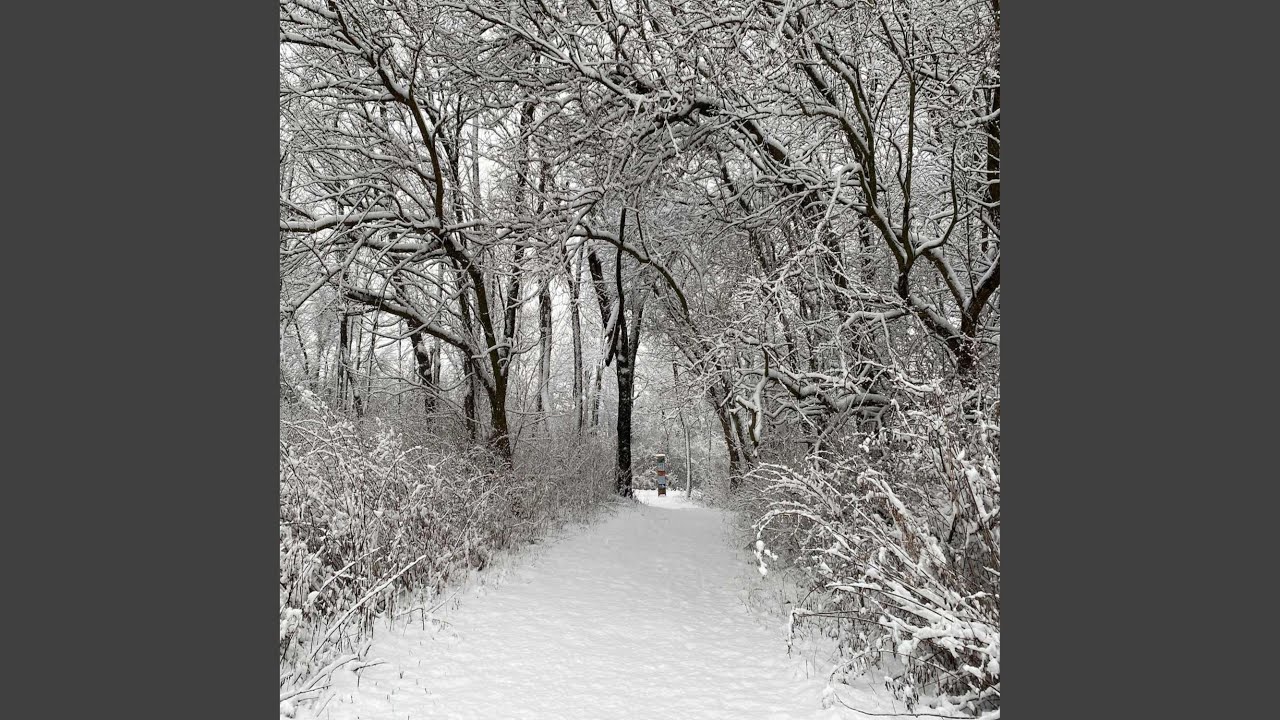 Watch Winter Walk on YouTube Watch Winter Walk on YouTube