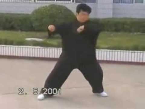 Chen Yu Taiji Gongfu - Erlu