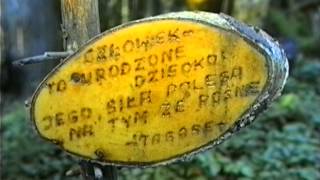 Ogród Bajek W Międzygórzu