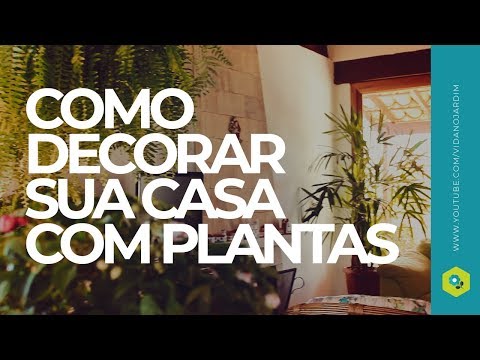 Vídeo: Como decorar com plantas dentro de casa