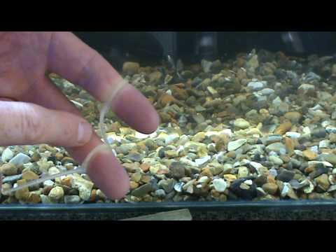 Solu Tie Demonstration PVA CABLE TIES