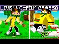 MINECRAFT MA AD OGNI LIVELLO INGRASSO