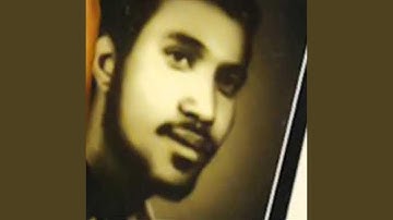 Gual Paradizo (feat. Tsegay Beraki)