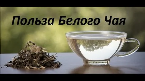 Польза Белого Чая