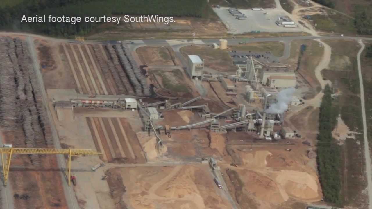 Our Forests Aren't Fuel: Injustice in Northampton