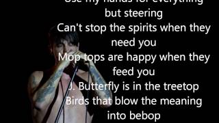 Red hot chili peppers - can't stop lyrics