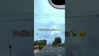 apostol santiago zuniga #apostolsantiago #foryou #fypシ゚viral #parati #viralvideo