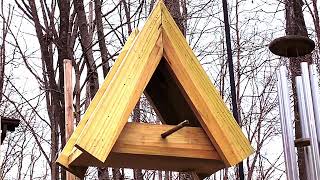 Winter Bird Feeding Time by Stone Yogi 543 views 3 years ago 38 minutes