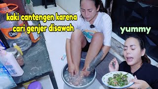 Genjer Di Masak Begini Seperti  Sayur Lompong