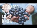 Master Sommelier Reveals 3 Wine Grapes You Must Know - Wine Oh TV