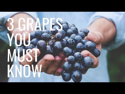 Video: The Best Grapes For Making Wines