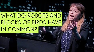 What Do Robots and Flocks of Birds Have in Common? - Sabine Hauert
