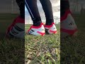 Training With The Predator ELITE FT FG 