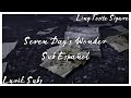 7 Day's Wonder AMV Sub Español Ling Tosite Sigure