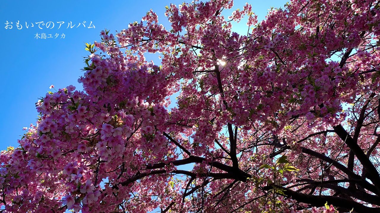 おもいでのアルバム Youtube