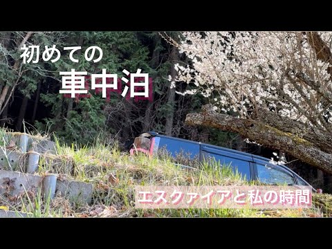 【車中泊】わくわくと不安…初めての車中泊/エスクァイア80系