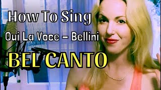 How to Sing Qui La Voce Bellini | How To Sing Bel Canto Technique