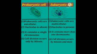 Biology #Difference between Prokaryotic cell & Eukaryotic cell #All competitive exam useful #shorts
