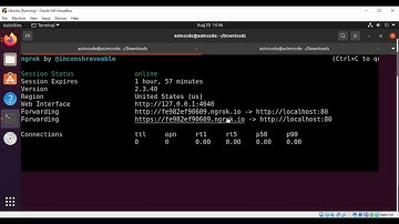 How to Use ngrok to Easily Share your localhost server to the internet