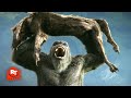 Godzilla X Kong The New Empire 2024 Kong Faces The Wart Dogs Movieclips Godzilla X Kong The New Empire 2024 Kong Faces The Wart Dogs Movieclips