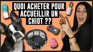 HAUL | QUOI ACHETER POUR ACCUEILLIR UN CHIOT ? (Animalis, Action, Maxizoo, Amazon, Aliexpress...)