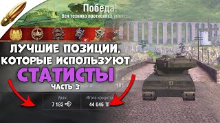 ЛУЧШИЕ позиции на картах от СТАТИСТОВ Wot Blitz / Часть 3 [Карта Альтенштадт]