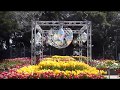 江の島サムエル・コッキング苑のチューリップ の動画、YouTube動画。