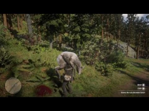 Red Dead Redemption 2 Rdr2 Sierra Nevada Bighorn Sheep Location Zoologist 114 Skin Deep Youtube