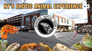 Saratoga Reptile Show Recap 🔥 | Reptiles, Exotic Pets & Family Fun in Saratoga Springs, NY