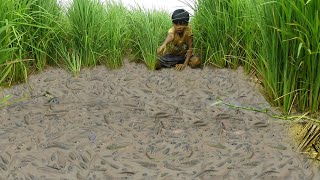 Fishing Exciting By Smart Boy in Growing Season - a Fisher Boy Search &amp; Collage Many Babe Fishes