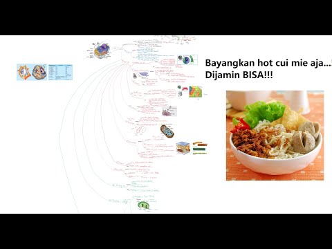 Mau Belajar Struktur Sel? Bayangkan Aja Cui Mie!!