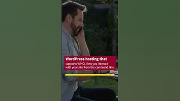WordPress Hosting with WP-CLI Support