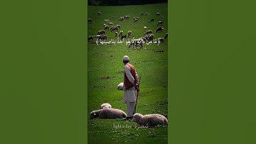 { إِنِّي تَوَكَّلْتُ عَلَى اللَّهِ رَبِّي وَرَبِّكُم ۚ } سورة هود : 56 #قرآن #راحة_نفسية