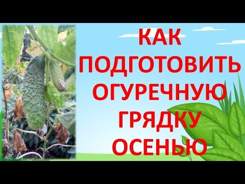 КАК ПОДГОТОВИТЬ &#55358;&#56658; ОГУРЕЧНУЮ ГРЯДКУ ОСЕНЬЮ. Как выращивать огурцы. Грядка для огурцов.