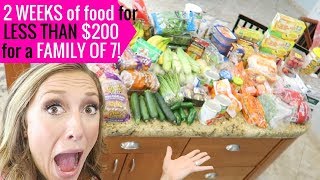 How I grocery shop + stock up on a budget! | Grocery shopping tips