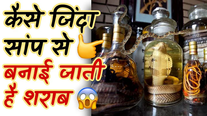 Snake Wine का सच जानकर चौंक जाएंगे आप | Hindi Facts | Wine - DayDayNews