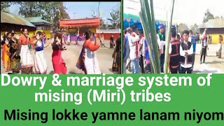 Dowry & marriage system of Mising ( Miri) tribes by Pangging Biro ❤️#misingvideosong