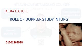 Role of Doppler At IURG - دمحمد عبدالغني