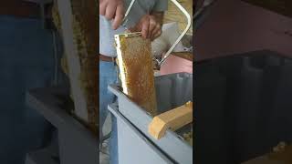 cutting honeycomb frame 'asmr'