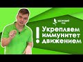 Как сидячий образ жизни влияет на наш иммунитет | КИНЕЗИТЕРАПИЯ