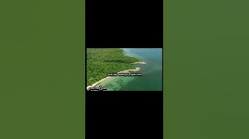 #اكسبلور #كومنت #لايك #قران_كريم #تلاوة_خاشعة #راحه نفسيه