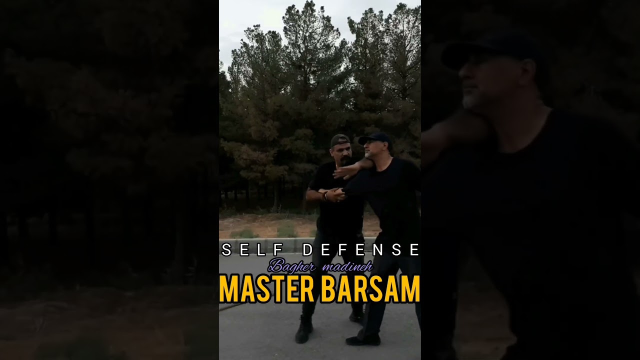 self defense  master barsam