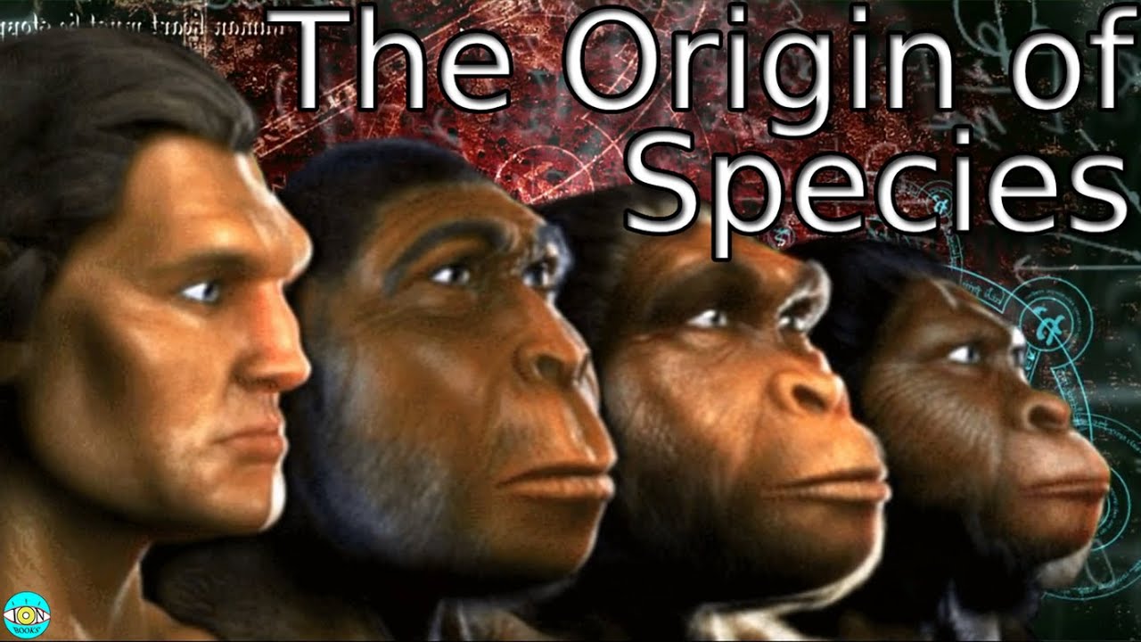 The Origin Of Species - Videobook Part 3/3 🎧 Audiobook with Scrolling