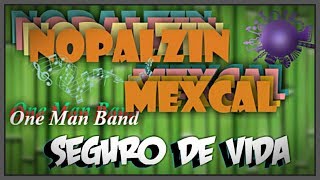 Seguro De Vida. Nopalzin Cover
