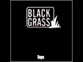 Black Grass - Toys